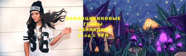 экстази Каменногорск