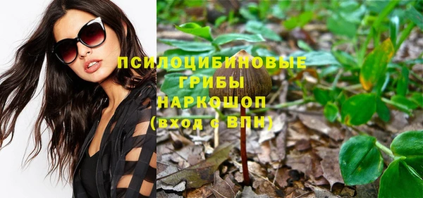 ешки Каменка