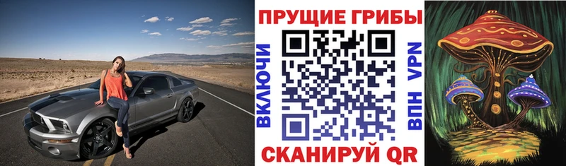 Купить  Губкин  Галлюциногенные грибы ЛСД 